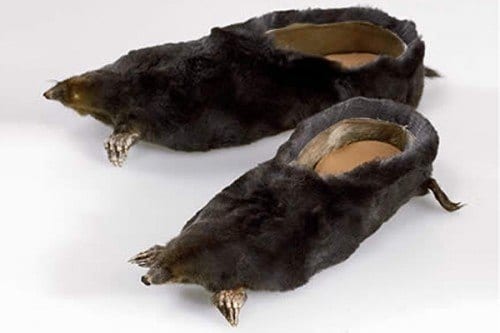 Crazy Animal Shoes