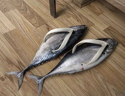 Unique Fish Shoes