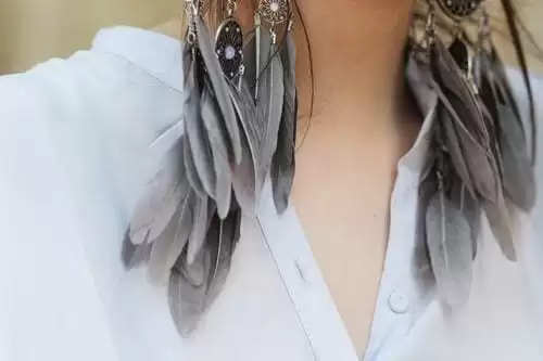 Trendy Feather Earrings