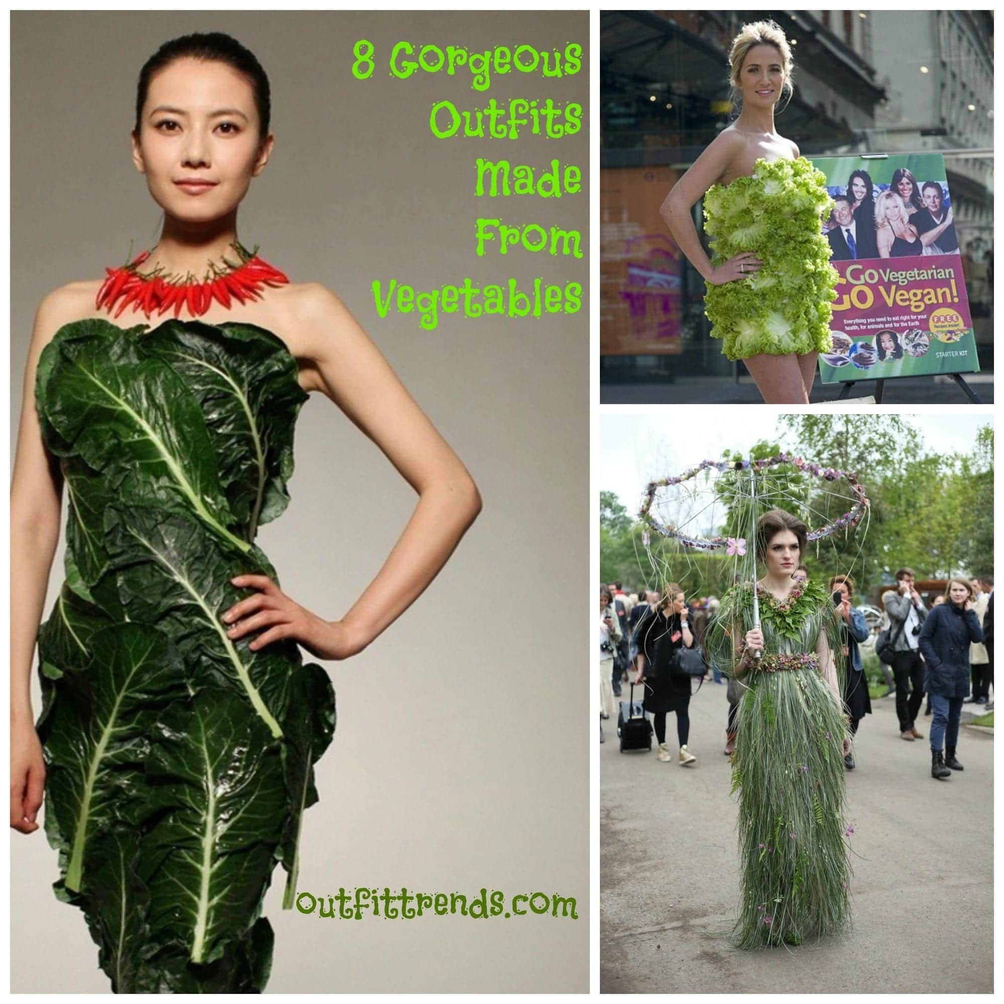 8 Creative Dress Made From Vegetable
