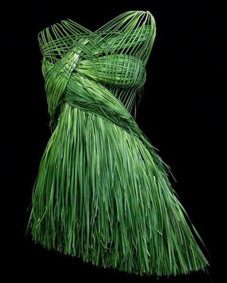 Vegetable Dresses - 8 Creative Dress Made From Vegetable