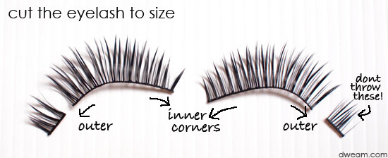 How to Wear Fake Eyelashes for Beginners-Step by Step Tutorial