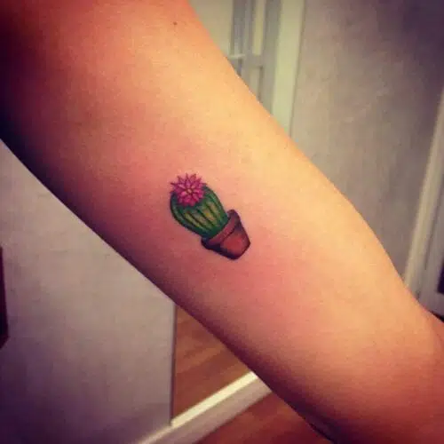 Cactus Emoticon