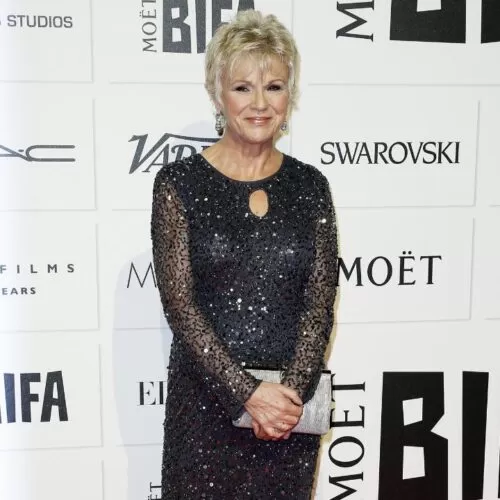 Julie Walters Sparkling outfit