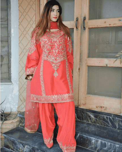 Party Outfits for Pakistani Girls (30)