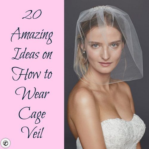 Bridal Birdcage Veil- 20 Best Ideas on How to Wear Cage Veil