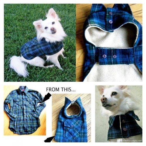 Funny Outfits for Dogs – 20 Most Funny Clothes for Dogs