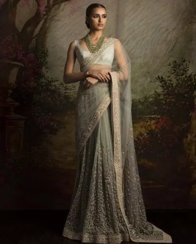 How To Wear A Net Saree