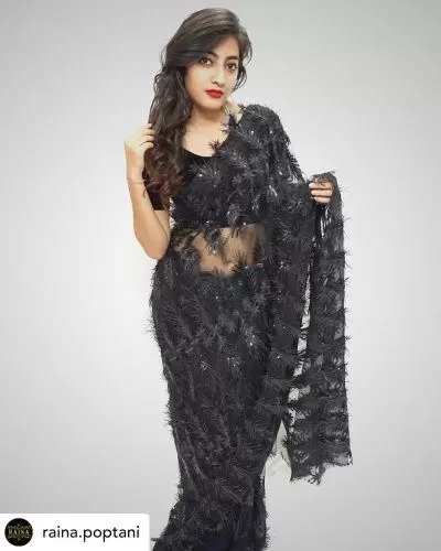 How To Wear A Net Saree