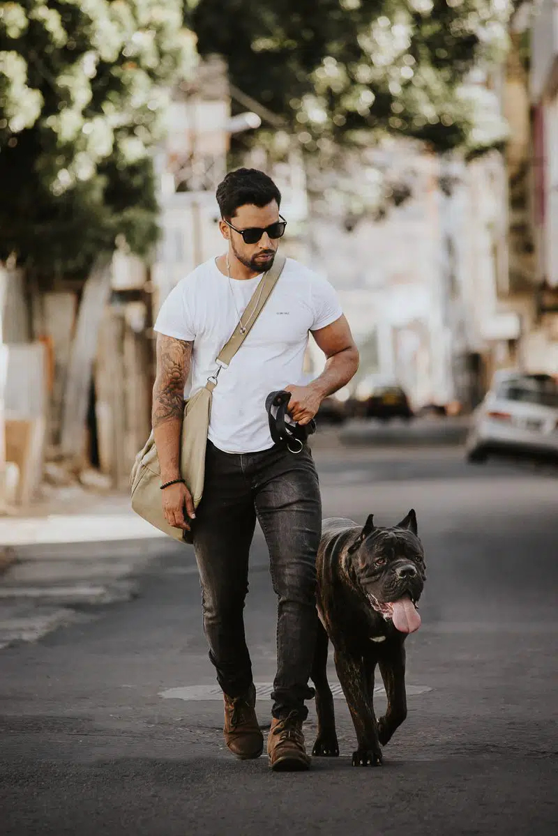 Dog Walk Outfits For Men