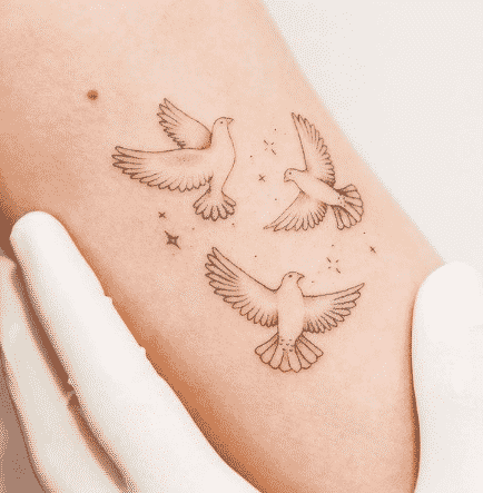 10 x Realistic dove tattoo design digital download – TattooDesignStock