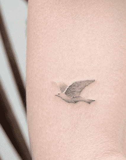 50 Adorable And Meaningful Dove Tattoo Designs You Will Definitely Love   Tats n Rings