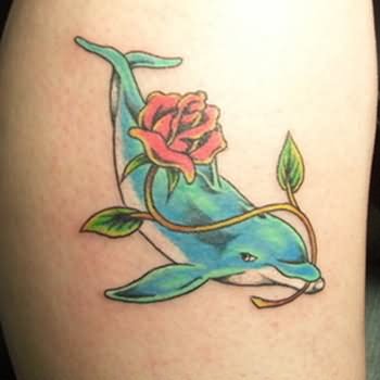 Dolphin Tattoo Designs – 20 Best Dolphin Tattoo With Meanings 2022