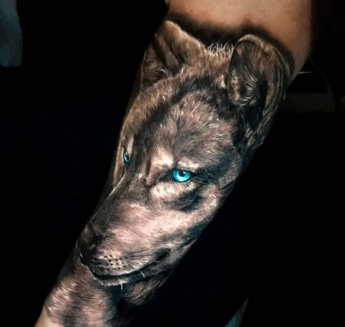 10 Best Lion and Wolf Tattoo Ideas  PetPress
