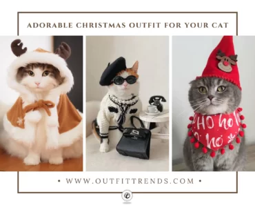 25  Cute Christmas Costume Ideas For Cats