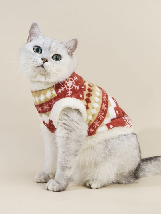 kitten christmas outfits